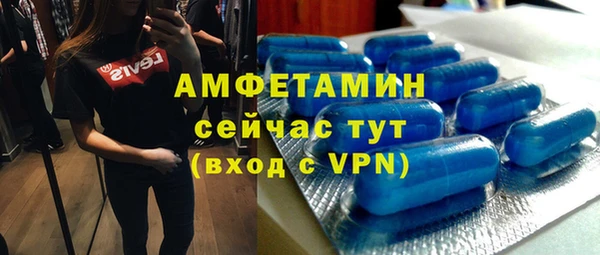 стаф Пересвет