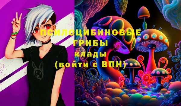 ПСИЛОЦИБИНОВЫЕ ГРИБЫ Абинск