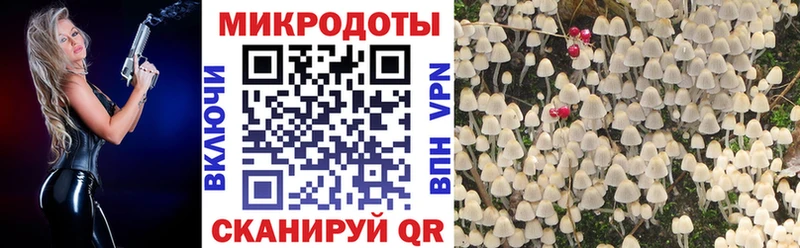 наркошоп  Абдулино  Галлюциногенные грибы MAGIC MUSHROOMS 